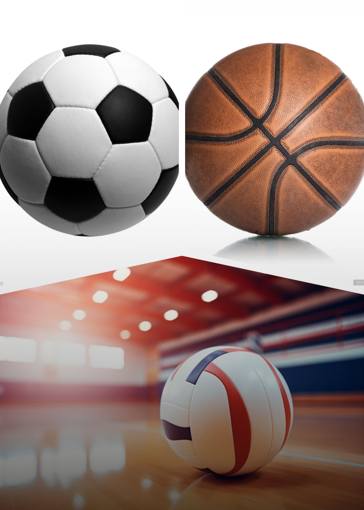 Sports Goods